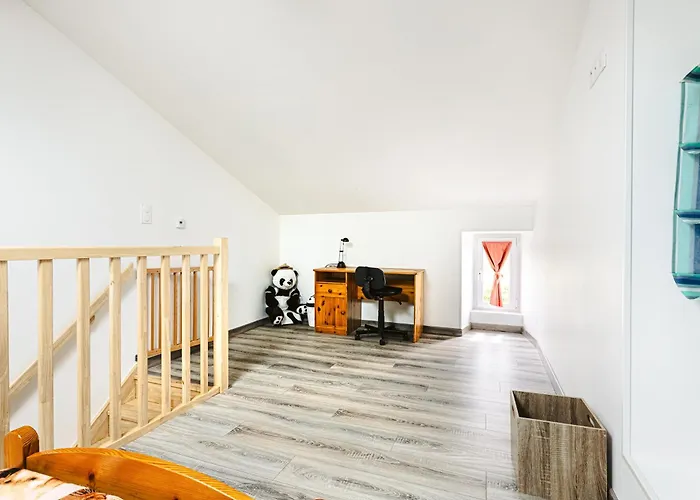 Panda * Marans (Charente-Maritime)